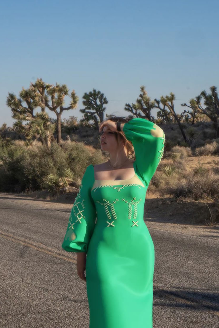 Digital-capsule AKHMADULLINA